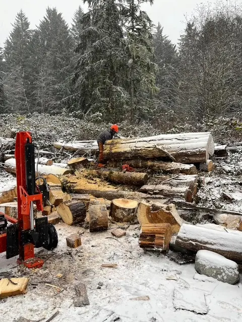 In a snowy environment, a man is focused on shaping a log, highlighting his craftsmanship and resilience.