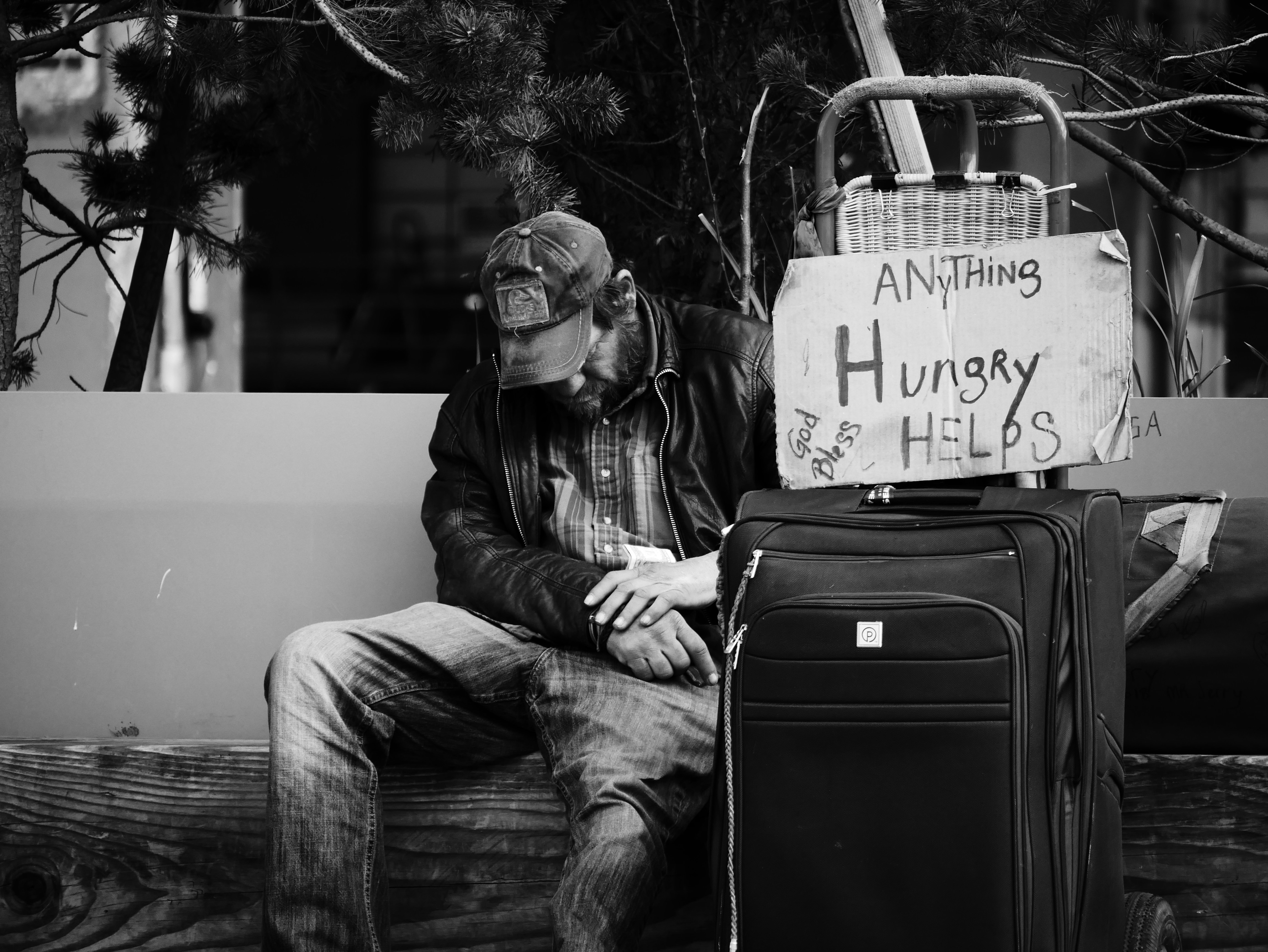 A man sitting on a bench holding a sign that reads "hungry".