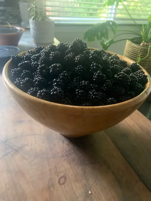 A vibrant bowl filled with ripe blackberries, resting on a table, highlighting their deep purple hue.